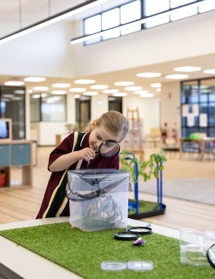 Adelaide Hills Campus • ELC Fees